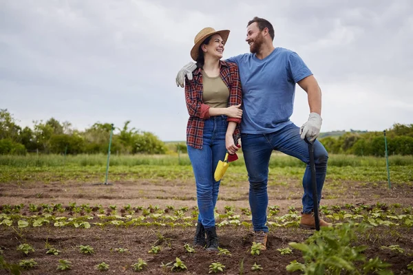 Startup Success Agriculture Couple Work Farm Together Sustainability Teamwork Small — ストック写真