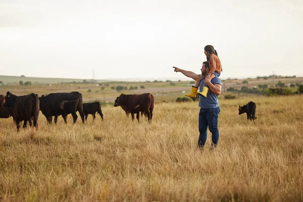 Sustainability Nature Farmer Teaching Daughter How Care Livestock Cattle Farm — Zdjęcie stockowe
