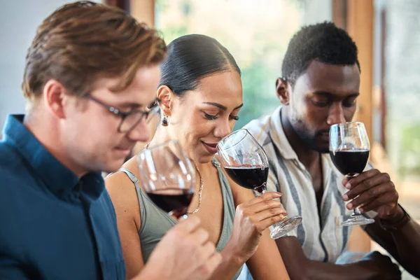 Diversity Luxury Friends Wine Tasting Restaurant Vineyard Smelling Alcohol Glass — Foto Stock