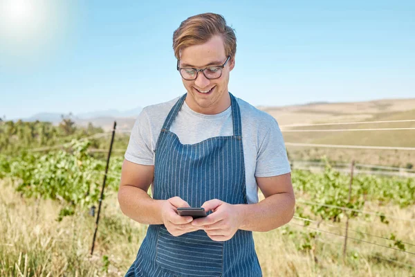 Phone, farm and wine with a farmer or winemaker gets good news online in vineyard. Sustainability, development and ecommerce in farming. Leader in alcohol, agriculture and manufacturing industry.