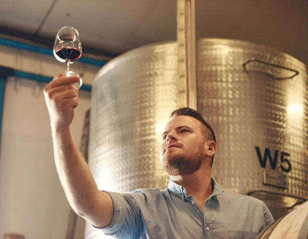 Its Hard Describe Something Praiseworthy Handsome Young Man Enjoying Wine — Stockfoto