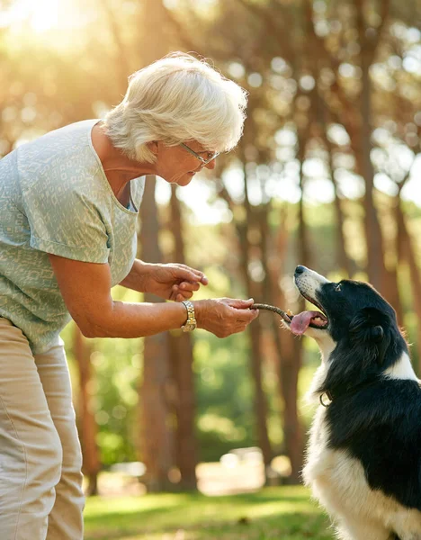 Her Constanty Companion Happy Senior Woman Relaxing Park Her Dog — Foto Stock