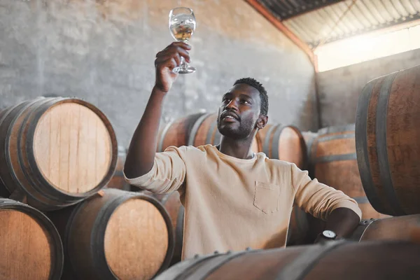 Wine expert or entrepreneur with glass during tasting test in a cellar or distillery in a warehouse. Black agriculture worker in alcohol production storage or wooden barrel in a manufacturing winery.