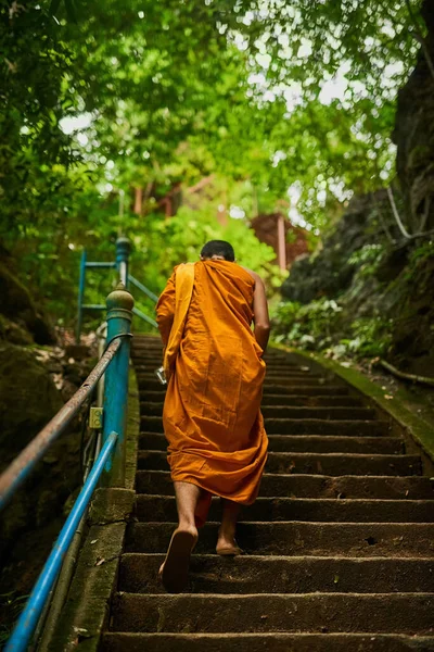 Follow me toward enlightenment. Rearview shot of a buddhist monk climbing a flight of stone steps