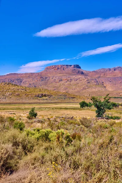 Cedarberg Wilderness Area - South Africa.