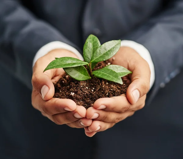 Nurturing sustainable growth in business. Closeup shot of a businessman in a suit holding a sprouting plant in soil in his cupped hands