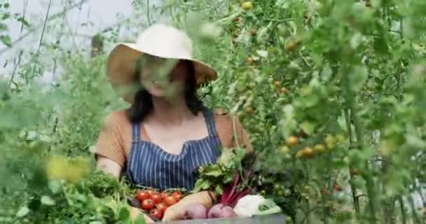 Happy Farmer Employee Worker Green Nature Garden Industry Carrying Crate — Stock Video