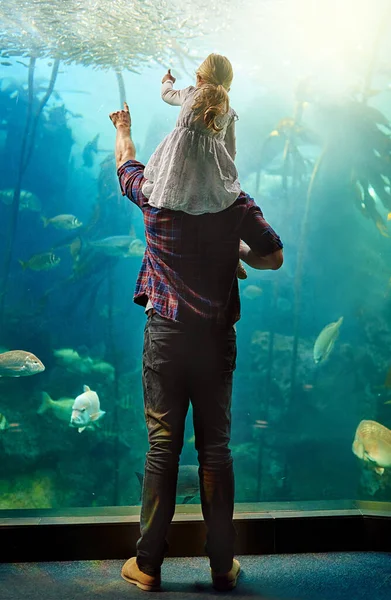 Wonders Underwater World Father His Little Daughter Looking Exhibit Aquarium — Stockfoto