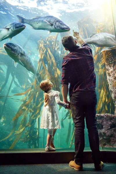Moments Feel Magical Father His Little Daughter Looking Exhibit Aquarium — Stockfoto
