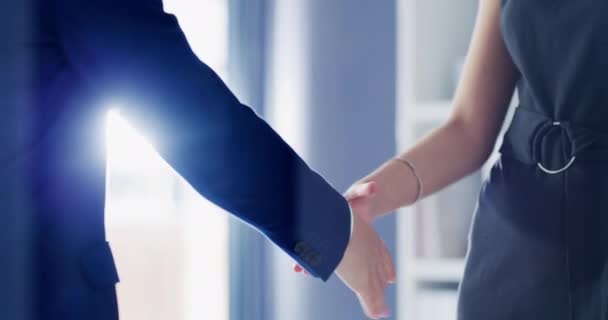 Welcome Handshake Business Networking Deal Agreement Partnership Collaboration Office Hiring — Vídeos de Stock