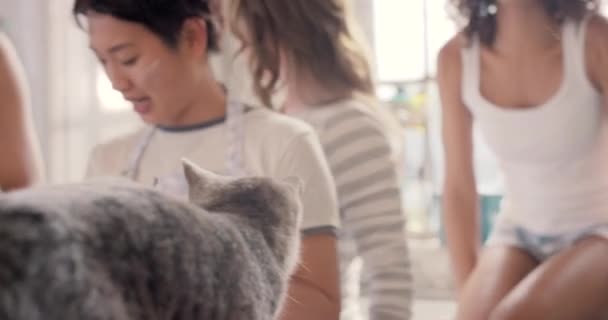 Family Friends Adopted Pet Cat Kitchen Care Love Support Diversity — 图库视频影像