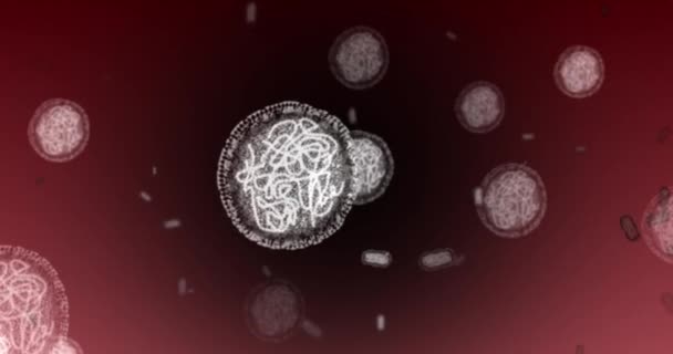 Microscope Bacteria Cell Particles Virus Molecules Dna Research Medical Laboratory — 图库视频影像