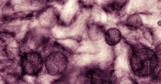 Молекули Вірусу Рнк Бактерій Науковому Мікроскопі Проведення Досліджень Тестування Лабораторії — стокове відео
