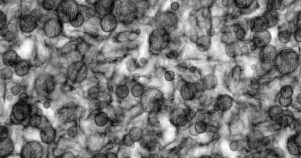 Laboratuar Analizi Sırasında Mikroskop Bakteri Virüs Hücreleriyle Yapılan Tıbbi Kanser — Stok video