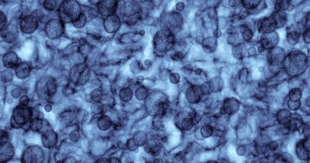 Бактерії Віруси Або Молекули Клітин Мікробів Інноваціями Наукових Технологіях Медичній — стокове відео