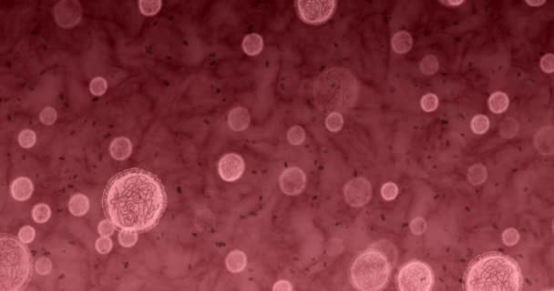 Zoom Bacteria Science Microscope Lab Research Virus Medicine Vaccine Covid — Vídeo de stock