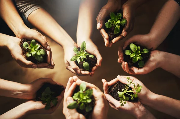Help sustain what has sustained you. a group of people holding plants growing out of soil