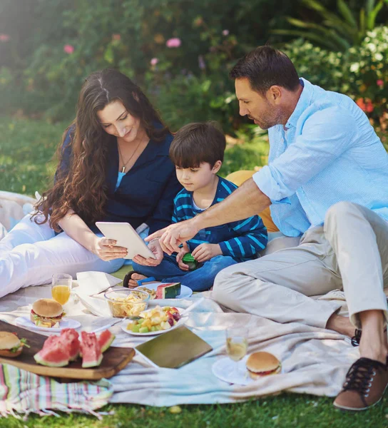 Theres always time for a movie even on a picnic. a young family using a digital tablet during a picnic in the park