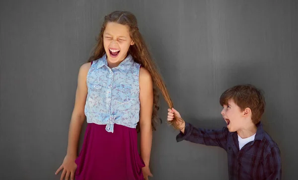 Gonna Tell Mom Young Boy Pulling His Sisters Hair Gray — 스톡 사진