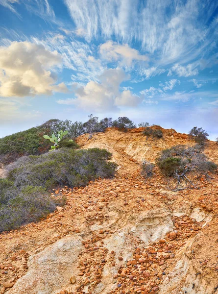 Torrey Pines State Beach Park San Diego California Usa Beautiful — Stockfoto