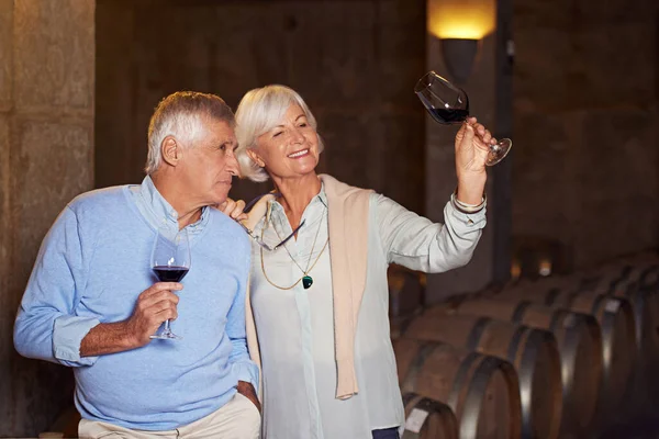 Color Perfect Affectionate Senior Couple Wine Tasting Cellar — Stockfoto
