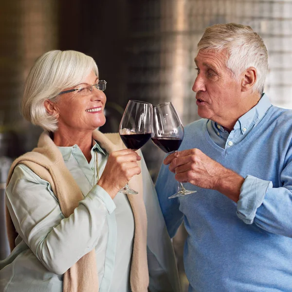 Cheers Affectionate Senior Couple Wine Tasting Cellar — Stockfoto