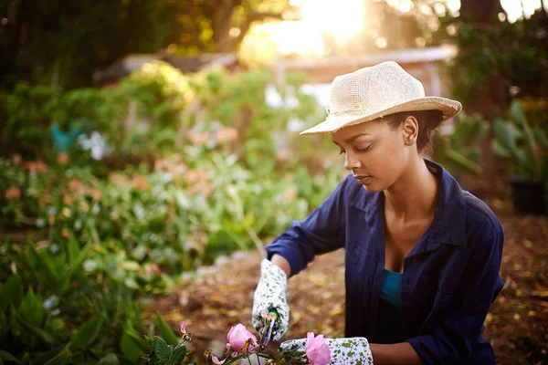 Gardening Best Therapy Young Woman Trimming Roses Her Garden — 图库照片