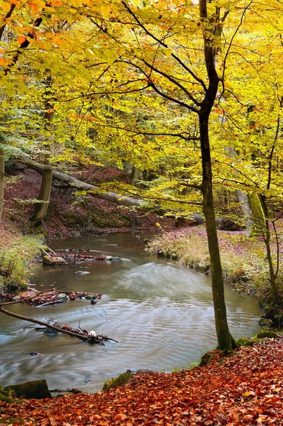 가을의 아름다움 색깔의 — 스톡 사진