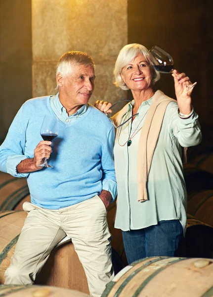 Deep Tones Senior Couple Enjoying Little Wine Tasting — Stok Foto