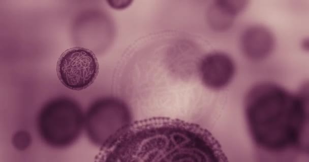 Covide Virus Biologie Avec Zoom Sur Les Cellules Sous Microscope — Video