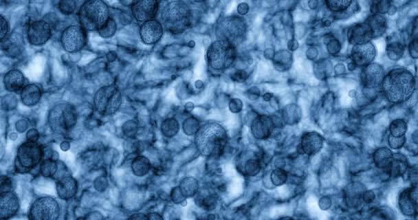 Baktériumrészecskék Mikroszkóp Molekula Zoom Tudomány Biológia Orvosi Adatok Kutatására Kék — Stock videók