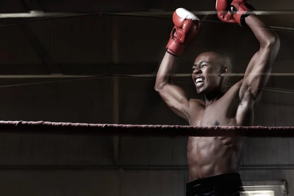 Winner Happy African American Male Boxer Hands Raised — Stock Photo, Image