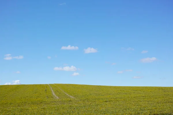 Springtime in the countryside. Farmland in springtime - Jutland, Denmark