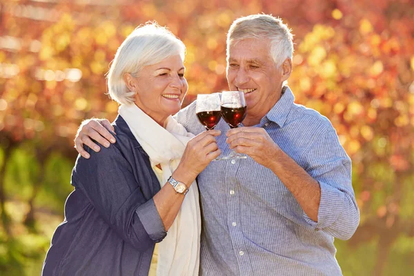 Cieszymy Się Dobrym Rocznikiem Uśmiechnięta Para Seniorów Wznosząca Wspólnie Toast — Zdjęcie stockowe