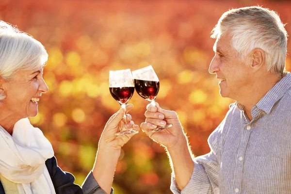 Wypijmy Nas Uśmiechnięta Para Seniorów Wznosząca Wspólnie Toast Przed Winnicą — Zdjęcie stockowe