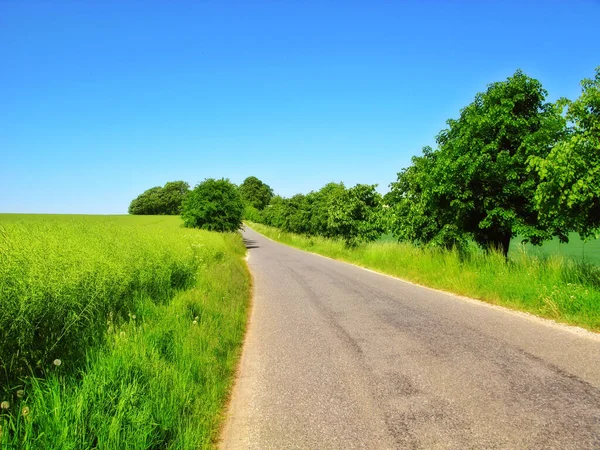 Explore Countryside Country Road Meandering Picturesque Landscape — Stock Photo, Image