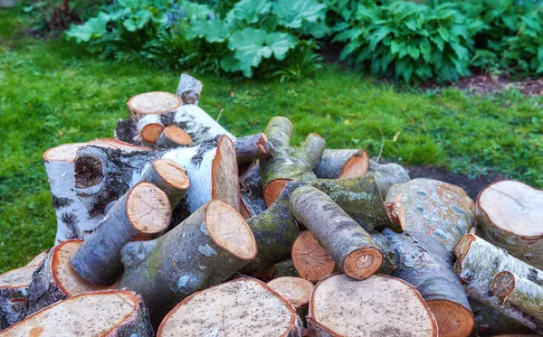 収穫した木材 新しく収穫された木材 薪として使用する準備ができて — ストック写真