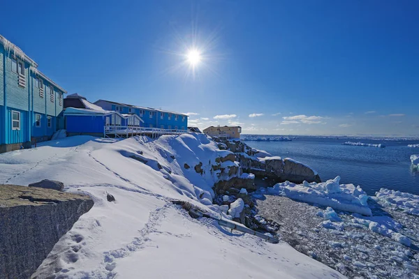 Mayıs Ayında Grönland Ilulissat Şehri Grönland Danimarka Mayıs Ayı — Stok fotoğraf