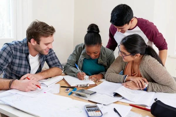 Ver Trabalho Dela Grupo Estudantes Universitários Num Grupo Estudo — Fotografia de Stock