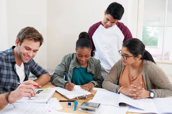 Hilft Ihnen Beim Lernen Eine Gruppe Von Universitätsstudenten Einer Arbeitsgruppe — Stockfoto