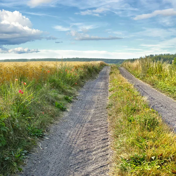 Špinavá Cesta Venkově Dirt Road Countryside Denmark — Stock fotografie