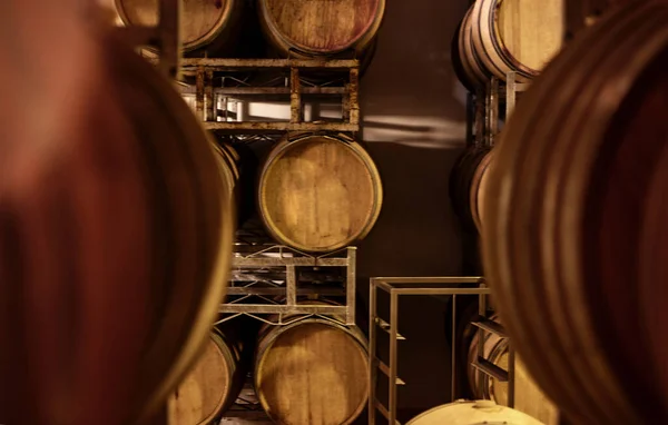 发酵过程中 仓库里的酒桶 — 图库照片