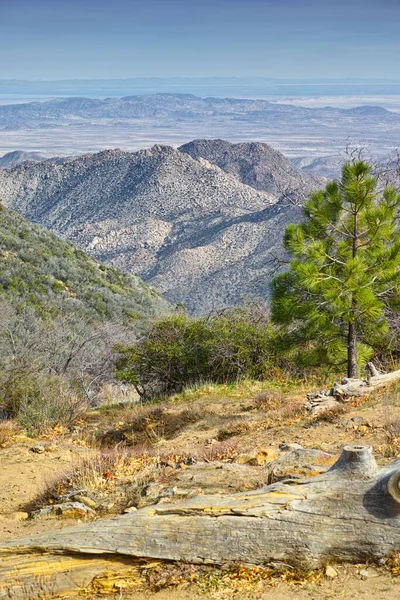 Καλιφόρνια Έρημο Anza Borrego Anza Borrego Desert State Park Νότια — Φωτογραφία Αρχείου