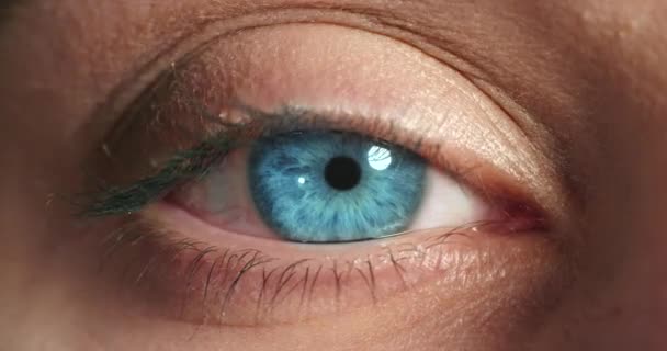 蓝眼睛 隐形眼镜和女性视觉 验光和人体解剖学特写 放大或宏观细节 个人的认识 视力和天然彩色虹膜 用于医疗 保健和美学 — 图库视频影像