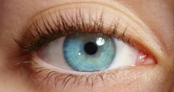 Œil Humain Vision Pupilles Dilatées Belle Femme Iris Bleu Naturel — Video