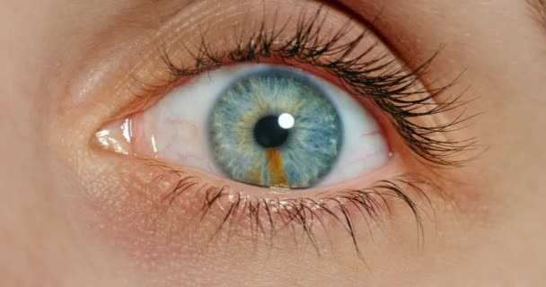 放大蓝眼睛 女人和视觉与视网膜安全 睫毛膏或化妆品的面部皮肤 带隐形眼镜 人类思维理念或创新的模型眼睛的细节 眨眼或纹理 — 图库视频影像