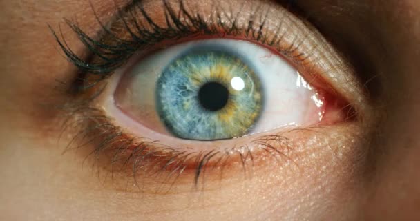 Vision Bewusstsein Und Blaues Auge Frau Für Gesundheitswesen Optometrie Oder — Stockvideo