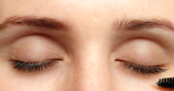 Maquillaje Pestañas Cejas Con Cara Los Ojos Mujer Entre Bastidores — Vídeo de stock