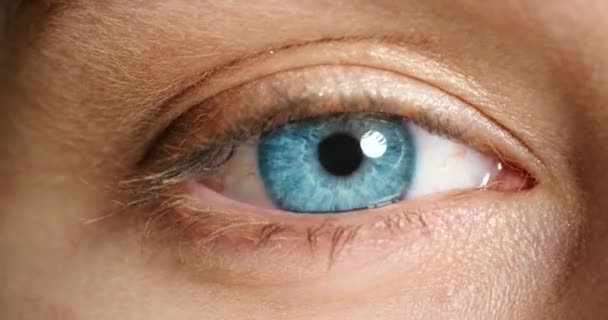 Blaue Augen Sehkraft Und Das Sehvermögen Einer Blinkenden Frau Für — Stockvideo