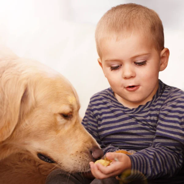 Opit Olemaan Vastuuntuntoinen Pikkupoika Suloinen Pieni Poika Koiranpentunsa Kanssa — kuvapankkivalokuva